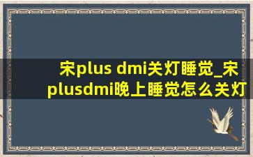 宋plus dmi关灯睡觉_宋plusdmi晚上睡觉怎么关灯